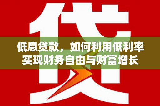 泸水低息贷款，如何利用低利率实现财务自由与财富增长