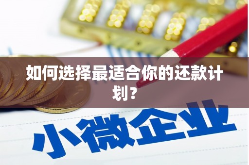 泸水如何选择最适合你的还款计划？