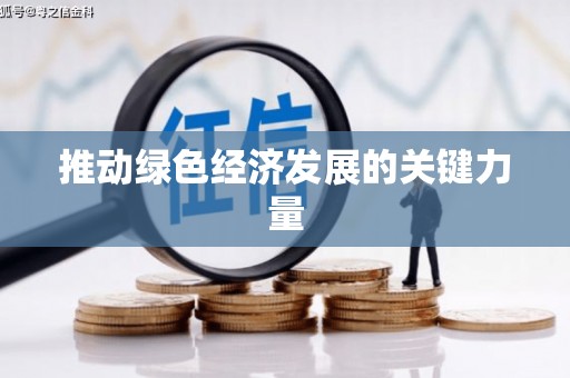 泸水推动绿色经济发展的关键力量
