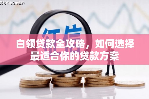 泸水白领贷款全攻略，如何选择最适合你的贷款方案
