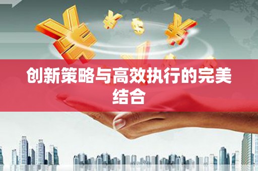 泸水创新策略与高效执行的完美结合