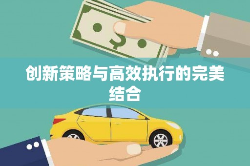 泸水创新策略与高效执行的完美结合