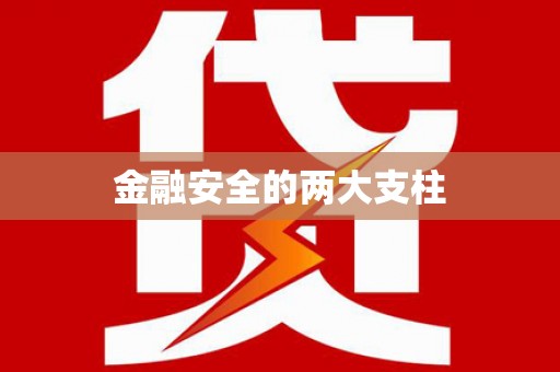 泸水金融安全的两大支柱