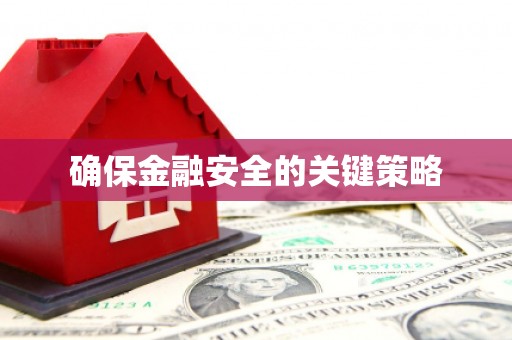 泸水确保金融安全的关键策略