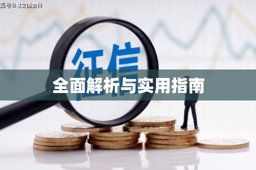 泸水全面解析与实用指南