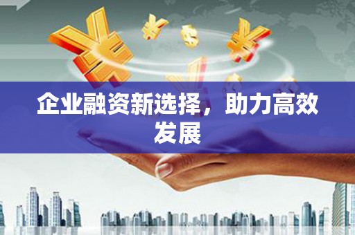 泸水企业融资新选择，助力高效发展