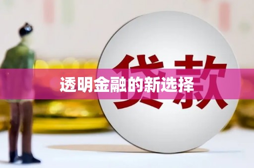 泸水透明金融的新选择