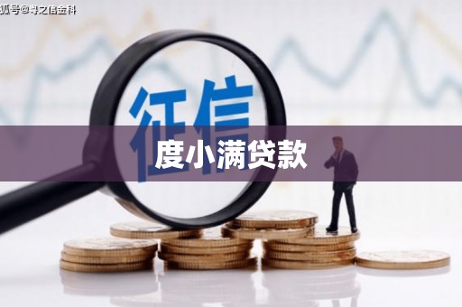 泸水度小满贷款