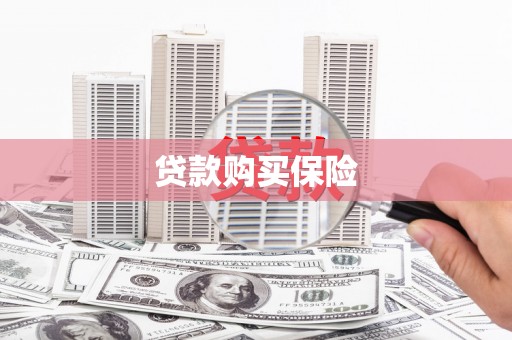 泸水贷款购买保险