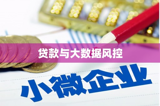泸水贷款与大数据风控
