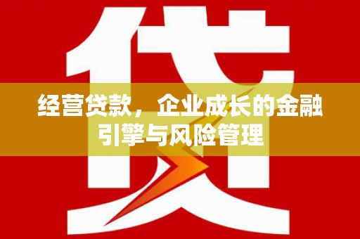 泸水经营贷款，企业成长的金融引擎与风险管理