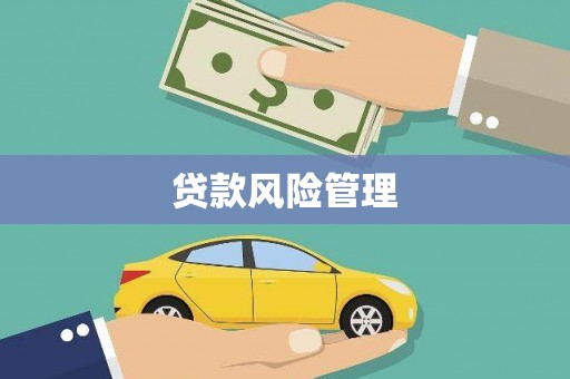 泸水贷款风险管理