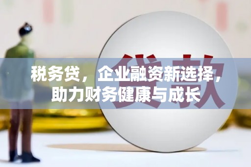 泸水税务贷，企业融资新选择，助力财务健康与成长