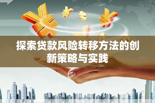泸水探索贷款风险转移方法的创新策略与实践