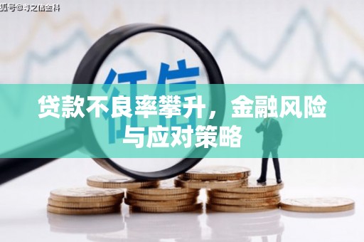 泸水贷款不良率攀升，金融风险与应对策略