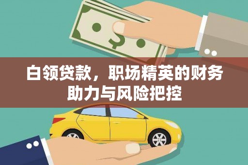 泸水白领贷款，职场精英的财务助力与风险把控