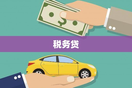 泸水税务贷