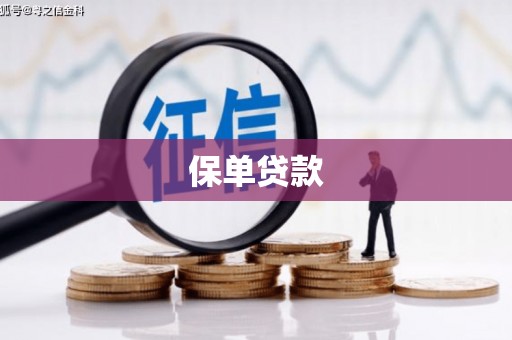 泸水保单贷款